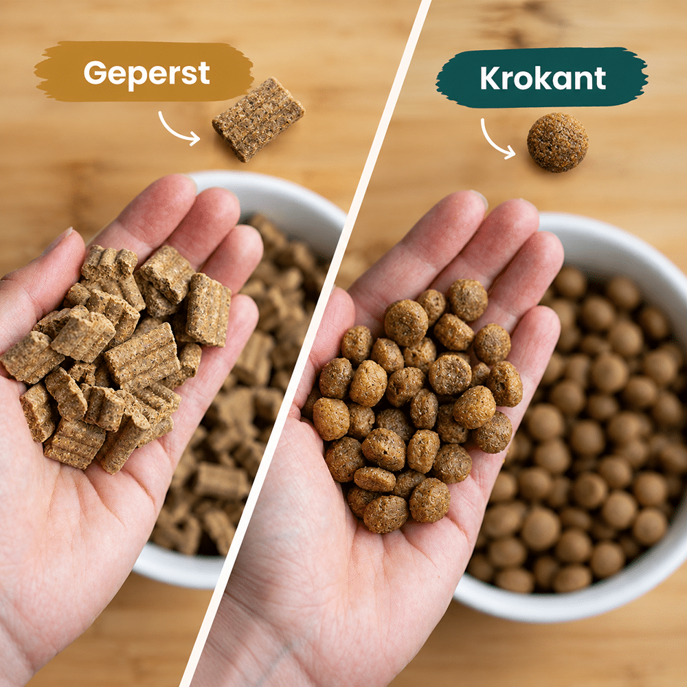 Umstellung auf ein anderes Futter